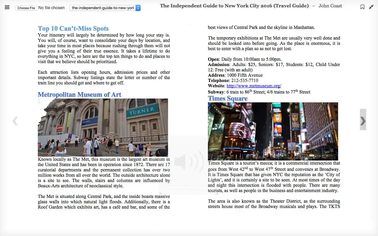 new-york-travel-guide-review-independent-guidebooks-review-best-travel-blogger-photographer-india